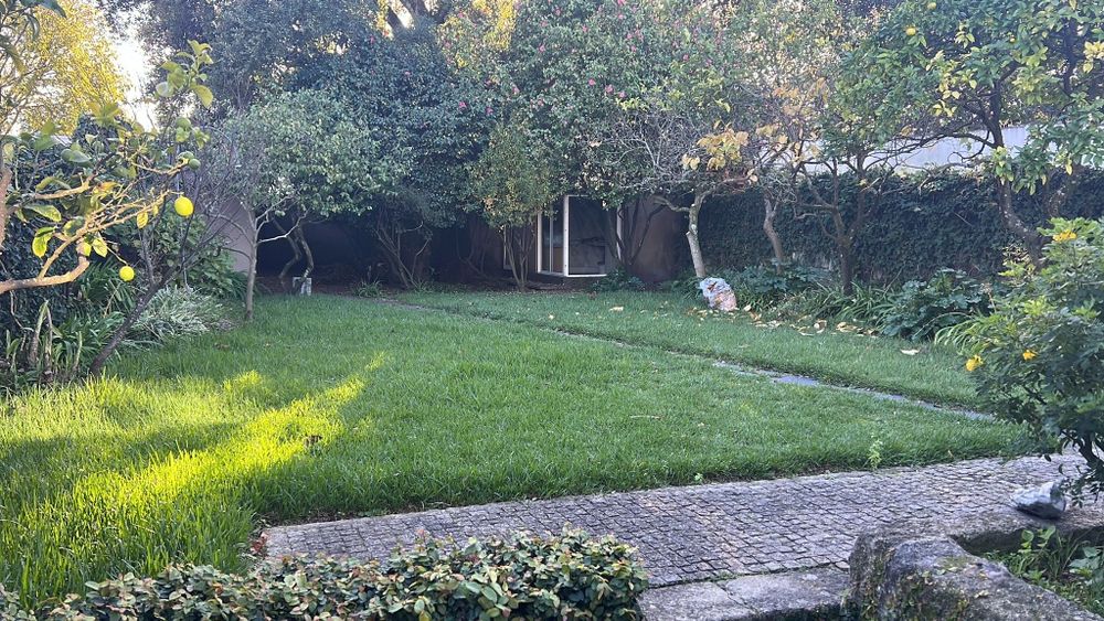 Jardinagem Piscinas limpeza terrenos