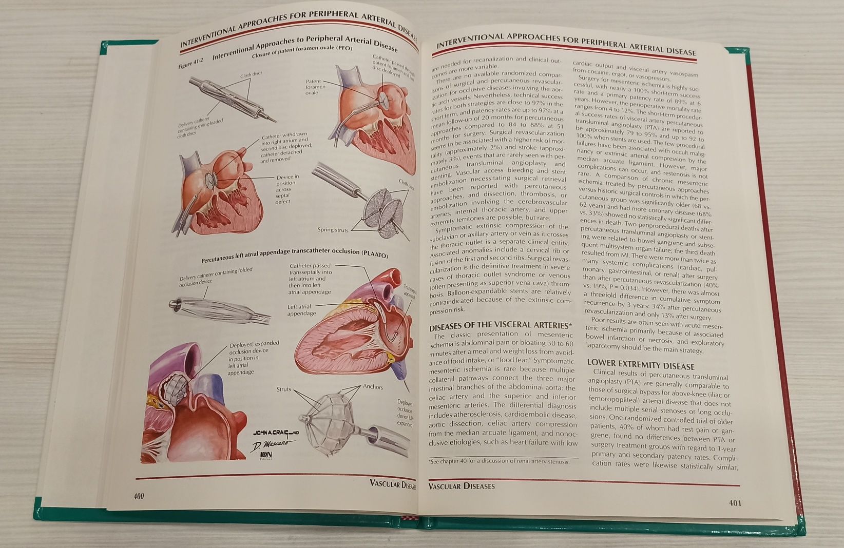 Netter cardiology Кардиология Неттер учебник на английском