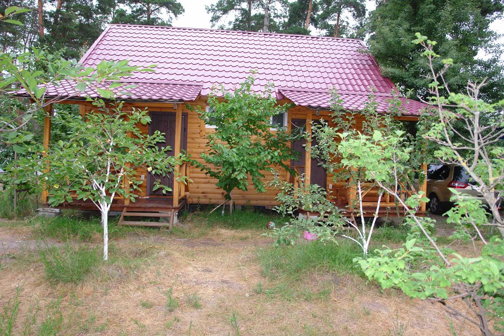 Супер відпочинок!!! Здаю новий зруб  в лісі на річці Десна в Піірнове