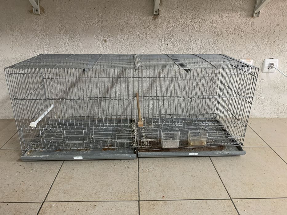 Gaiola - voadeira - viveira