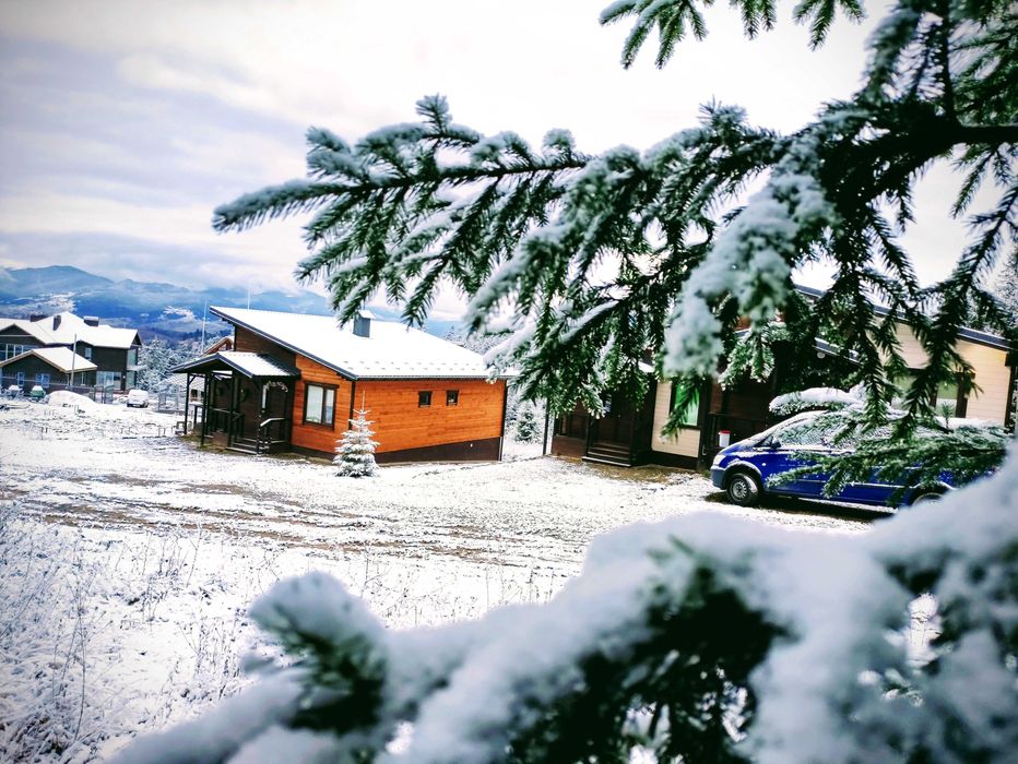 Відпочинок в Карпатах Буковель Яблуниця