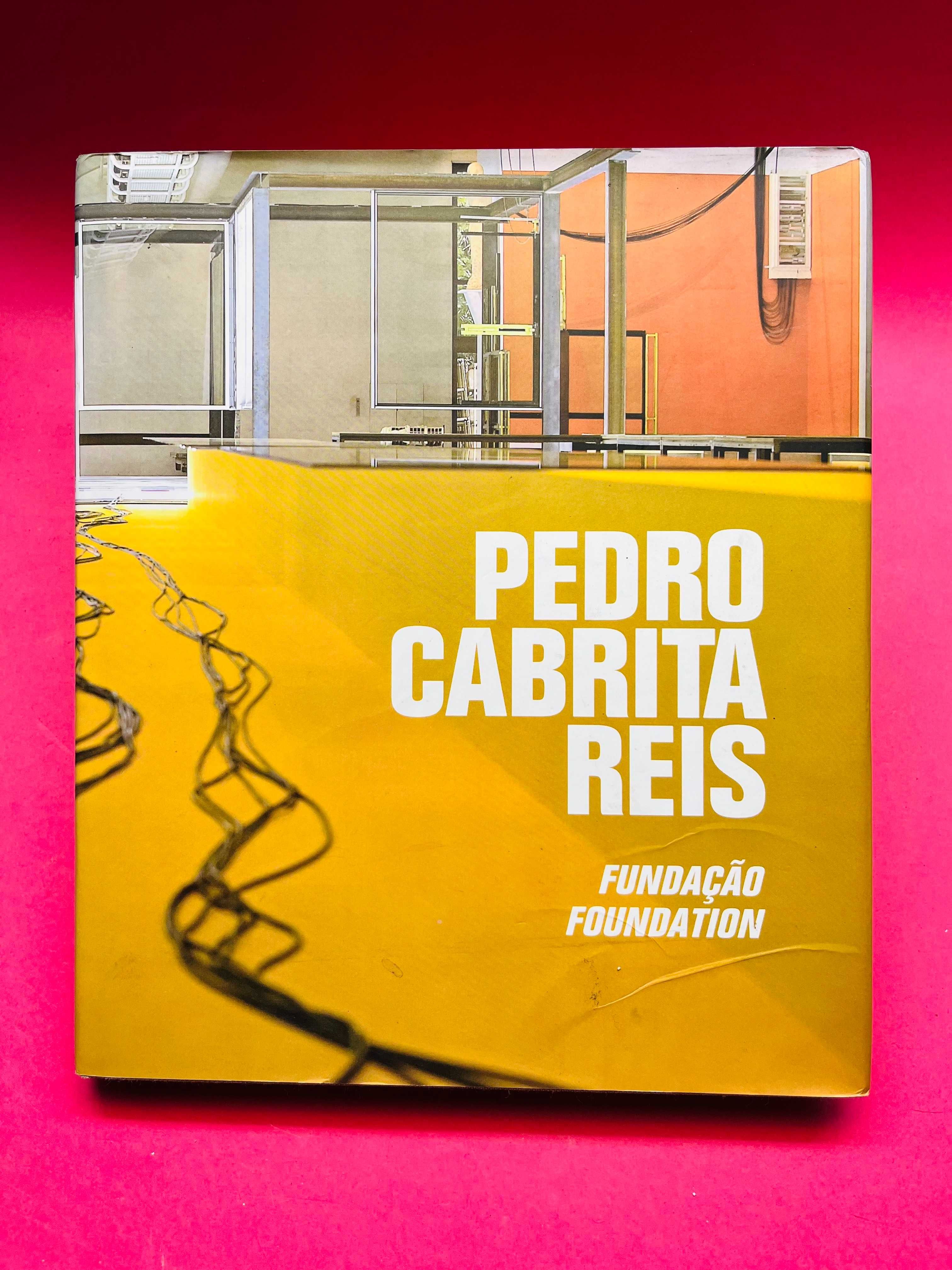 Pedro Cabrita Reis - Fundação