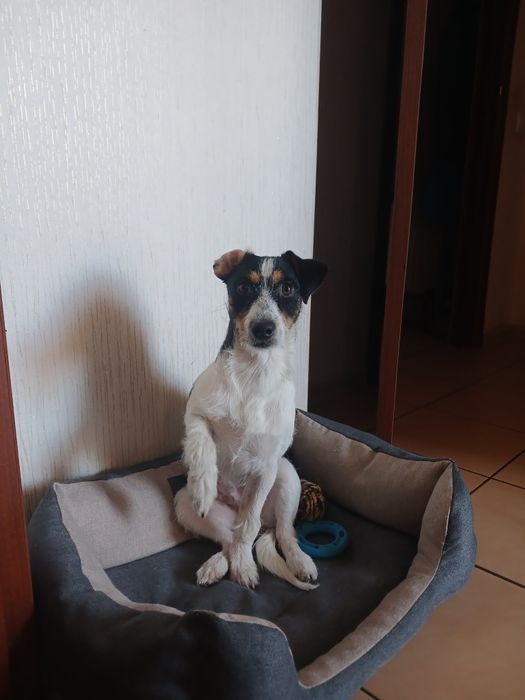 Отдам мальчика в добрые руки