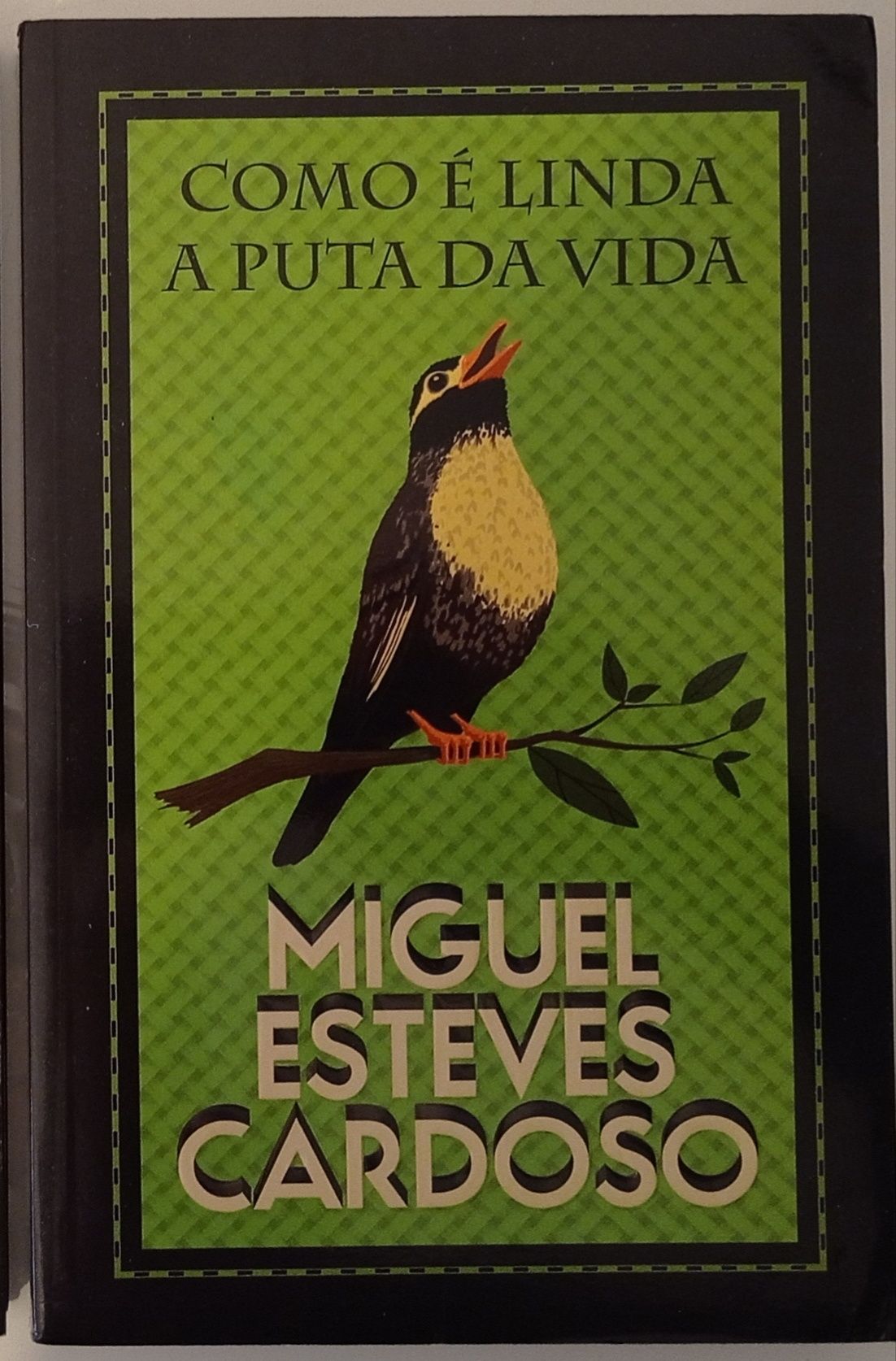 Miguel Esteves Cardoso (O amor é fodido + Como é linda a puta da vida)