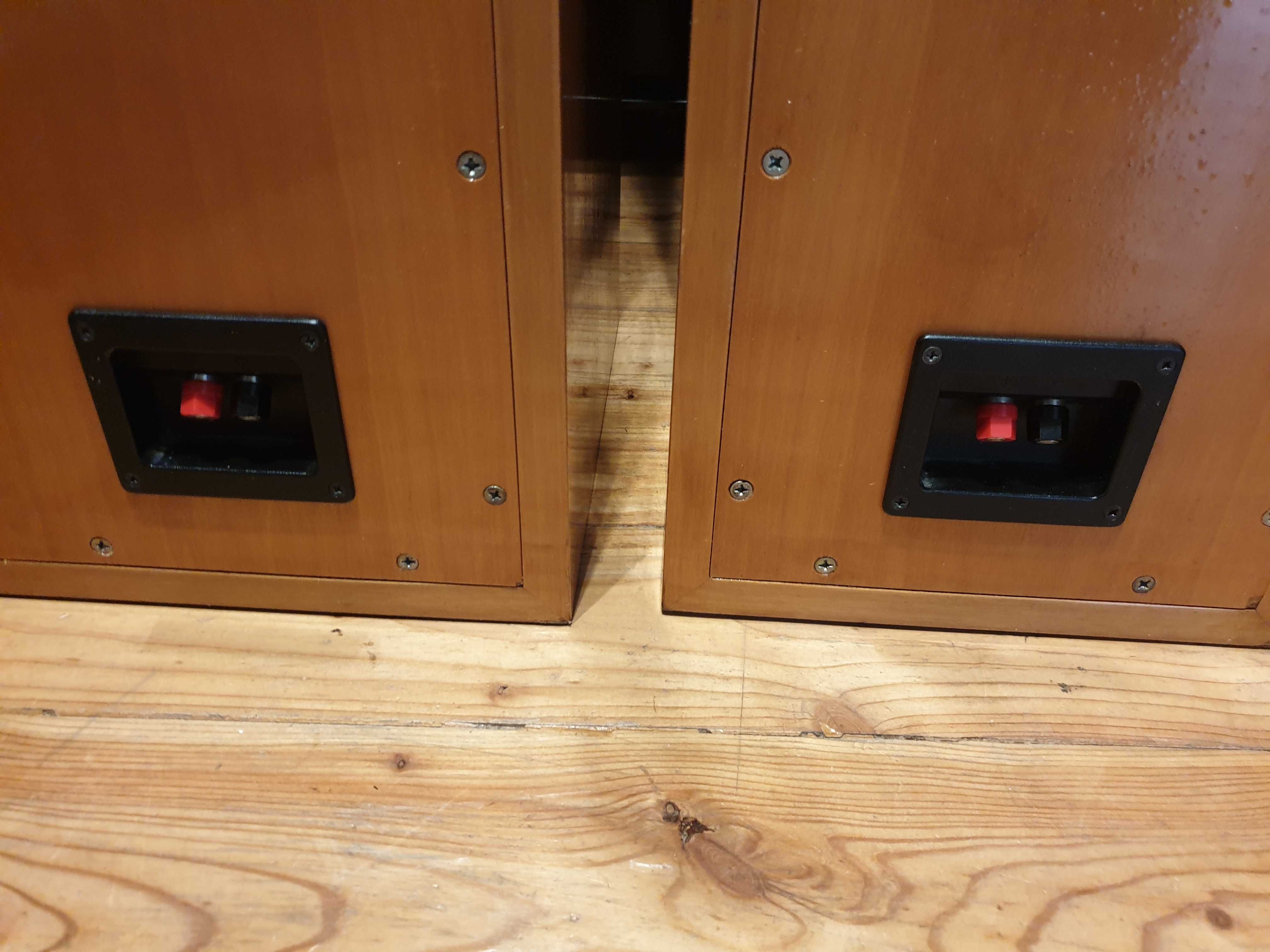Ecouton LQL 100 dalii, dynaudio