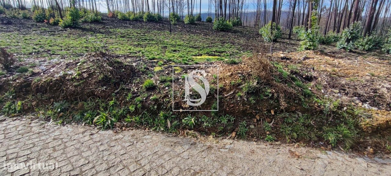 Terreno de 2,4Ha em Melres