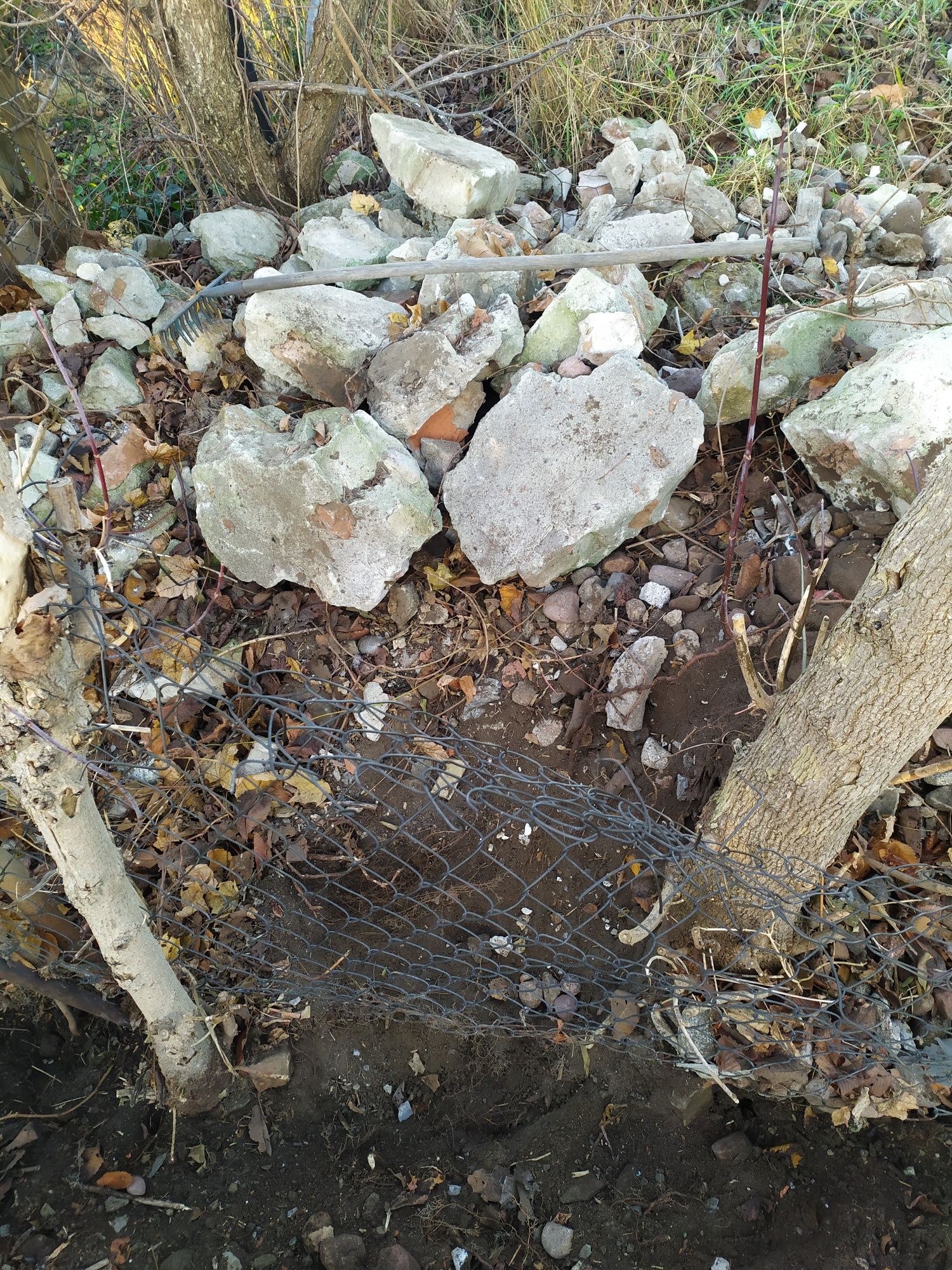 Oddam Gruz z ziemią za darmo