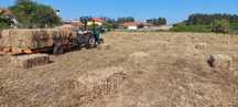 Palha fardos de qualidade