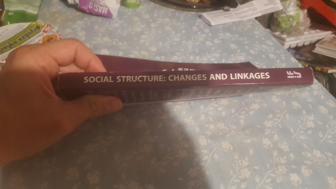 Kazimierz Słomczyński. Social structure.