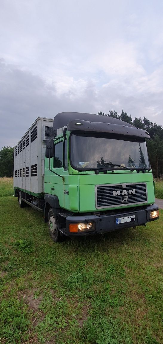 Man 14.264 Do przewozu zwierząt Waga