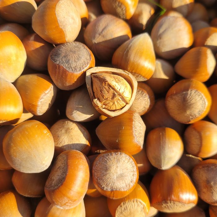 Orzechy laskowe 5kg SUPER JAKOŚĆ zbiór 2025