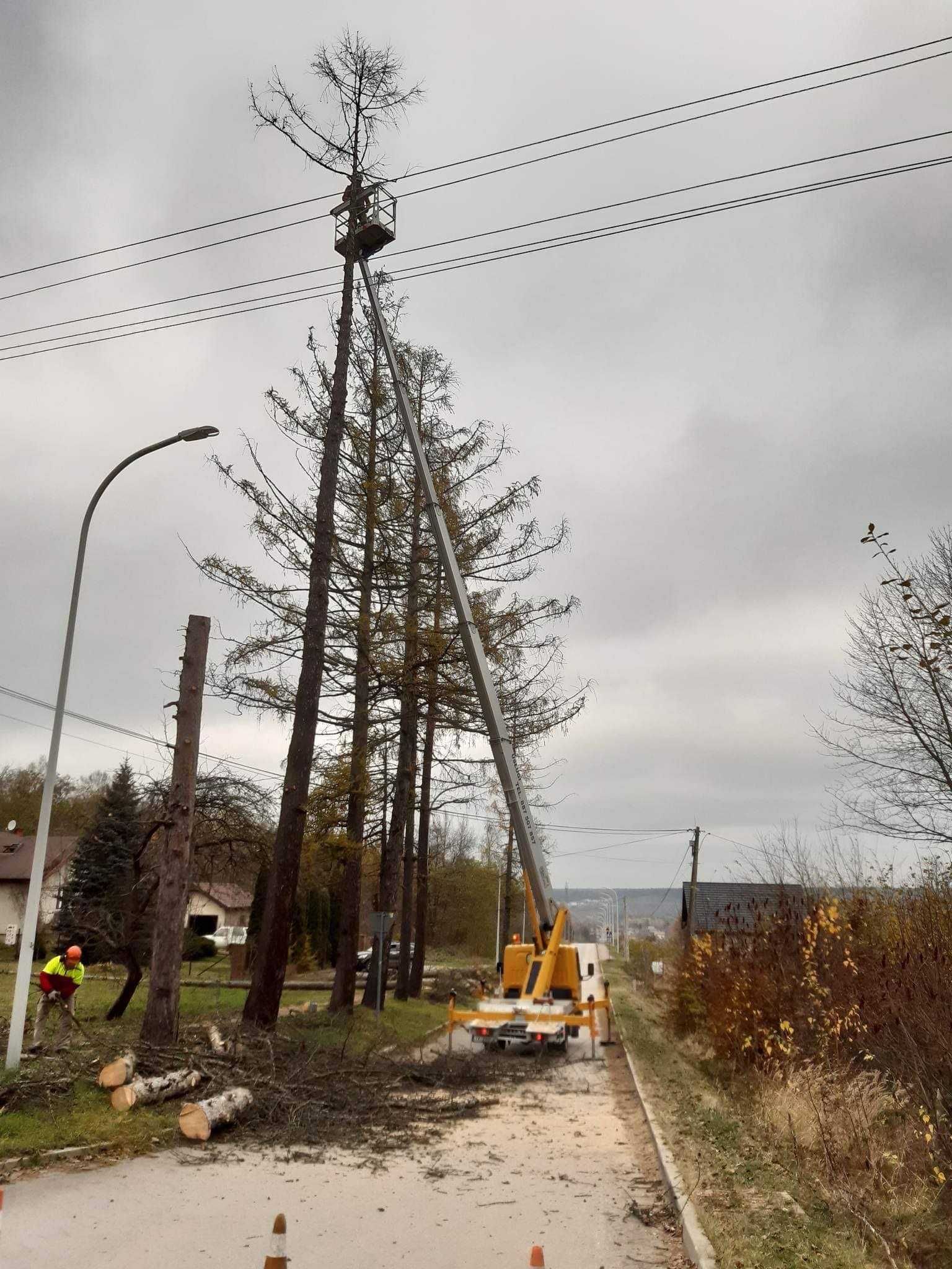 Podnośnik Koszowy Zwyżka Podest Wycinka Drzew Przycinka Gałęzi Banery