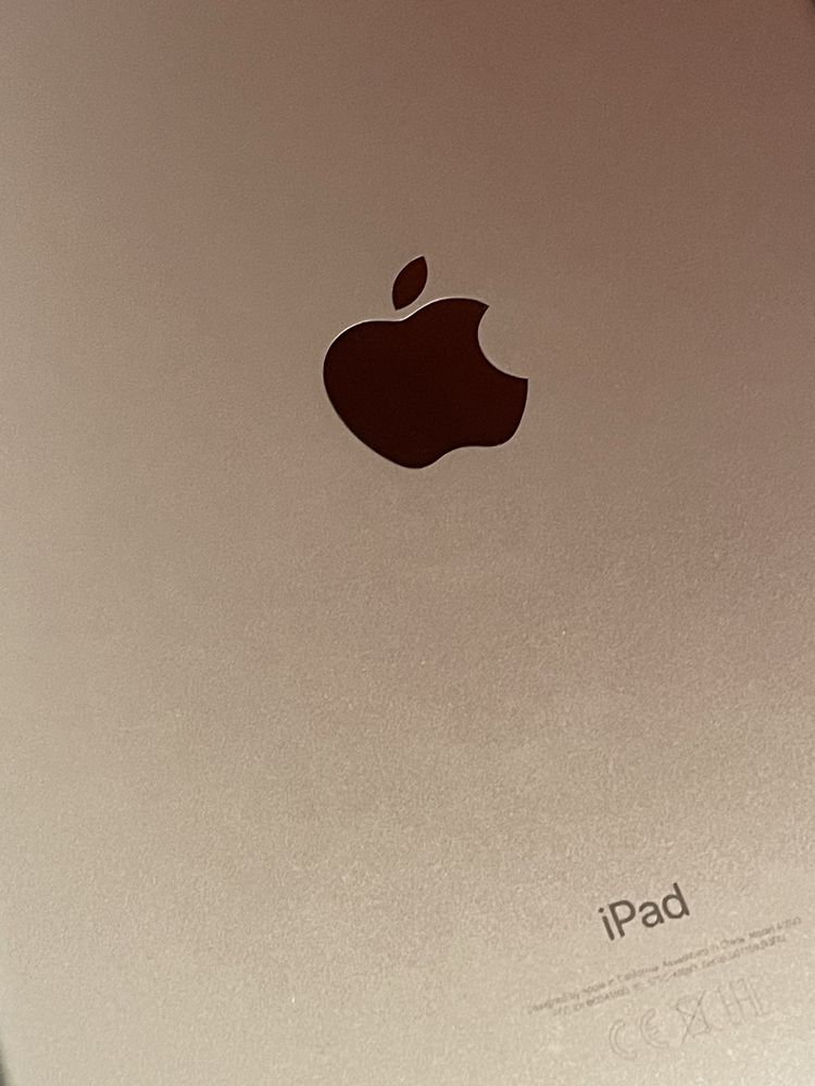Ipad 9.7 6 generacji + rysik