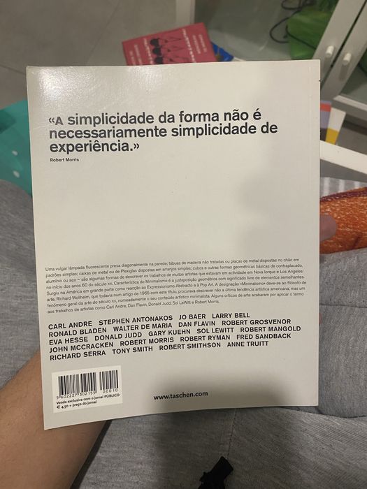Livro minimalismo