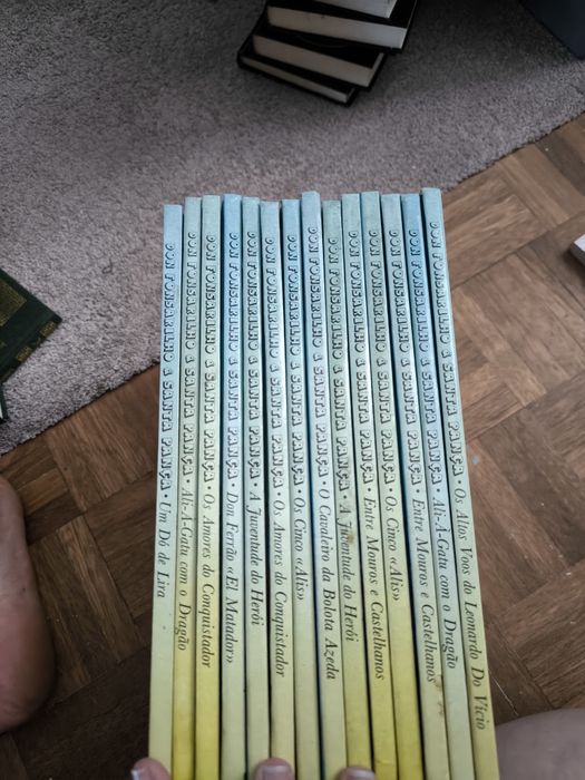 Vendo coleção de livros D.fonsarilhao