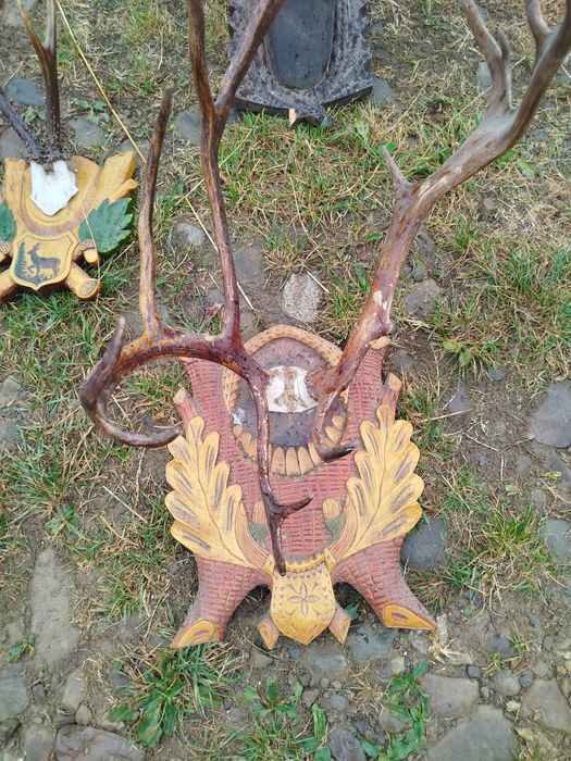 Продам рога на підставках