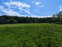 Łąka do wykoszenia, trawa siano