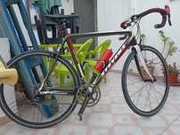 Bicicleta de ciclismo STEVENS XENOM em carbono