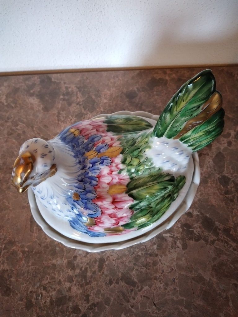 Galinha Calypso, Vista Alegre