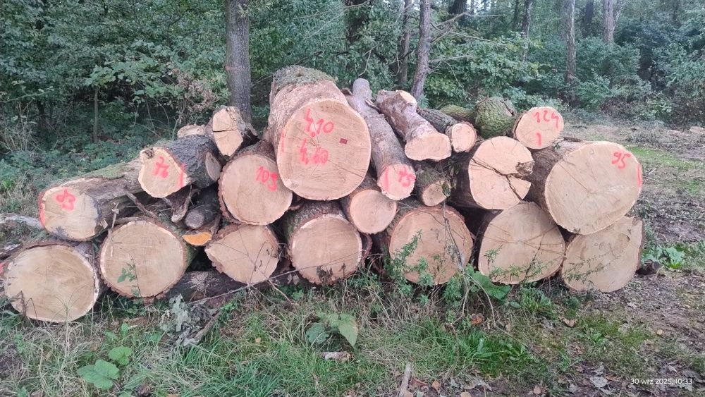 Sprzedam drewno kominkowe opalowe