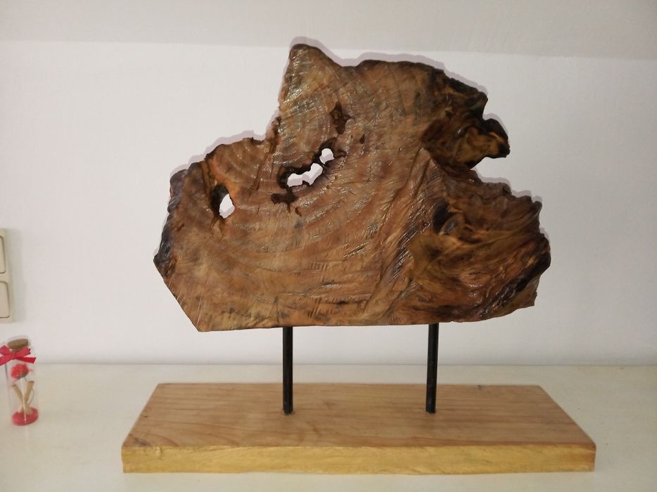 Tronco de cedro rosa