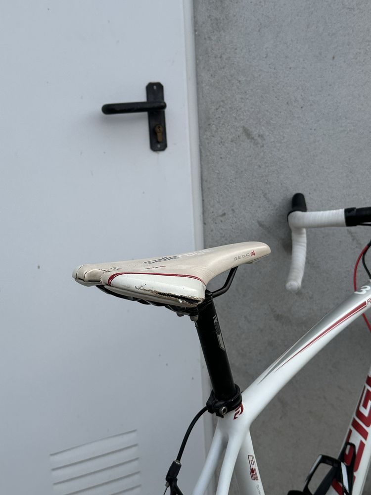 Raleigh C5 carbon