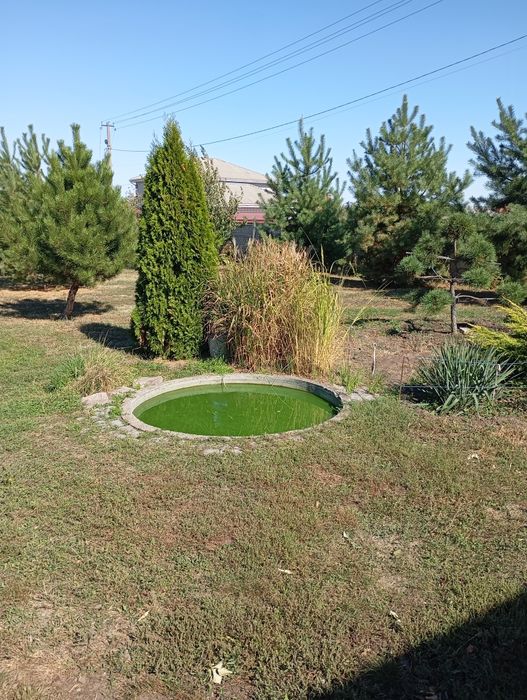 Продам шикарный дом на голубом озере Елизаветовка/Каменское