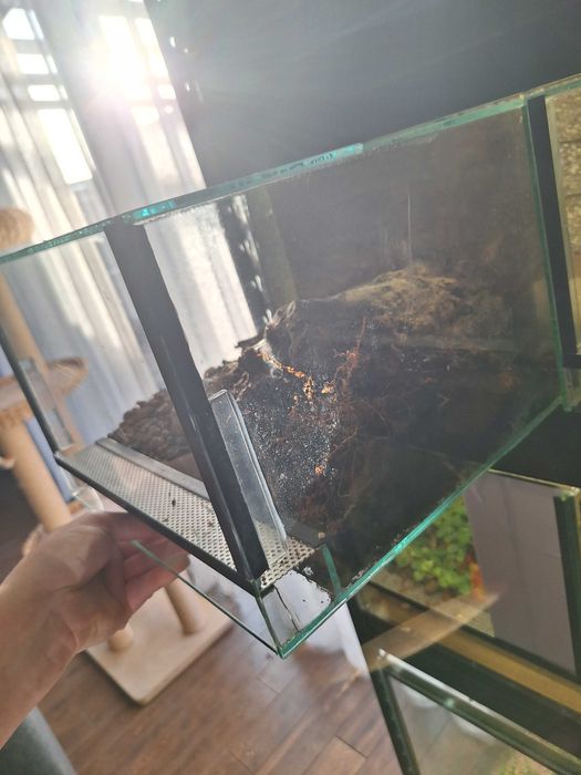 Terrarium szklane dla pająków, gadów / podana cena za 1szt