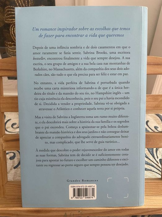Danielle Steel - Felicidade