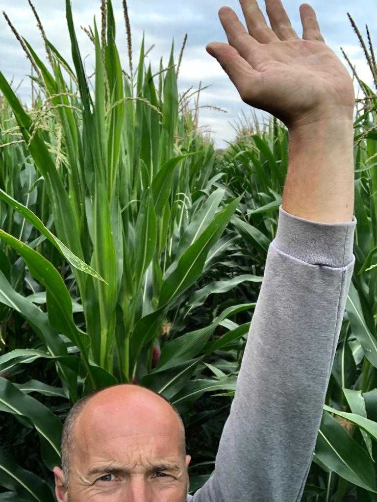 Wapno organiczne pod kukurydzę , szybka regulacja pH, MAX CALC