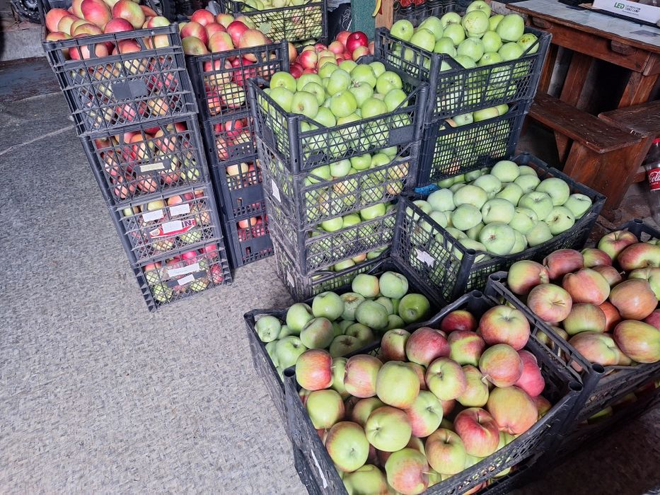 Продам домашні яблука