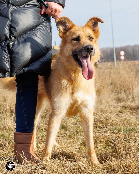 George szuka swojego Człowieka