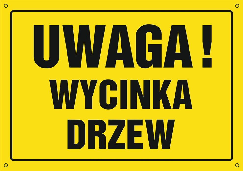 wycinka drzew za drewno, pielegnacja i  mulczowanie terenów