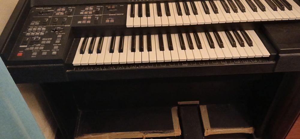 Órgão eletrónico Technics SX-EX5L