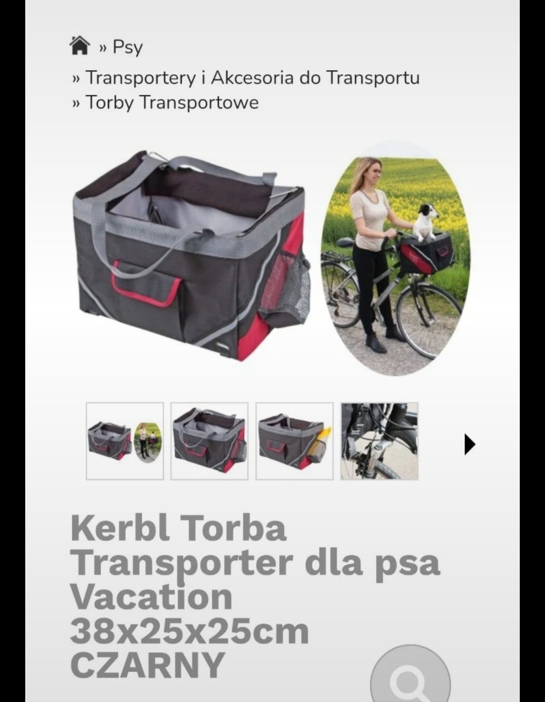 Transporter dla psa na rower