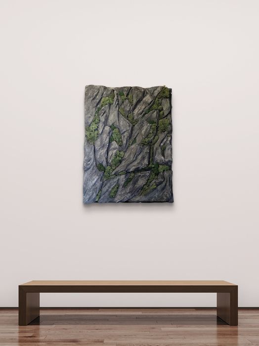 Картина интерьерная скала, мох, горы.