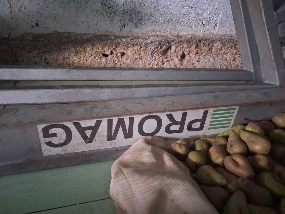 Suwnica mobilna, bramowa PROMAG 500 kg.