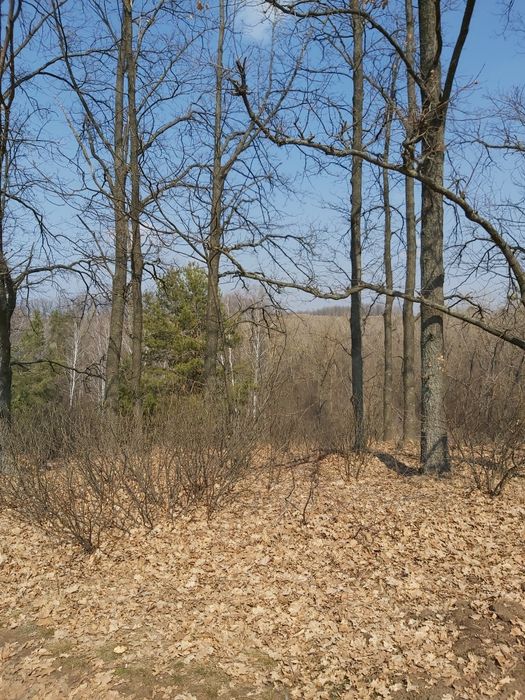 Продам Земельный Участок на Большой Даниловке под Застройку