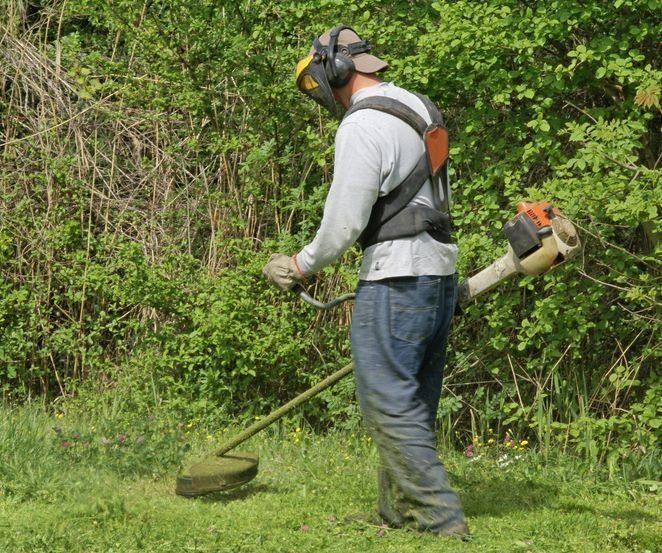 Розчистка ділянок, вивіз сміття, покос трави зрізання дерев