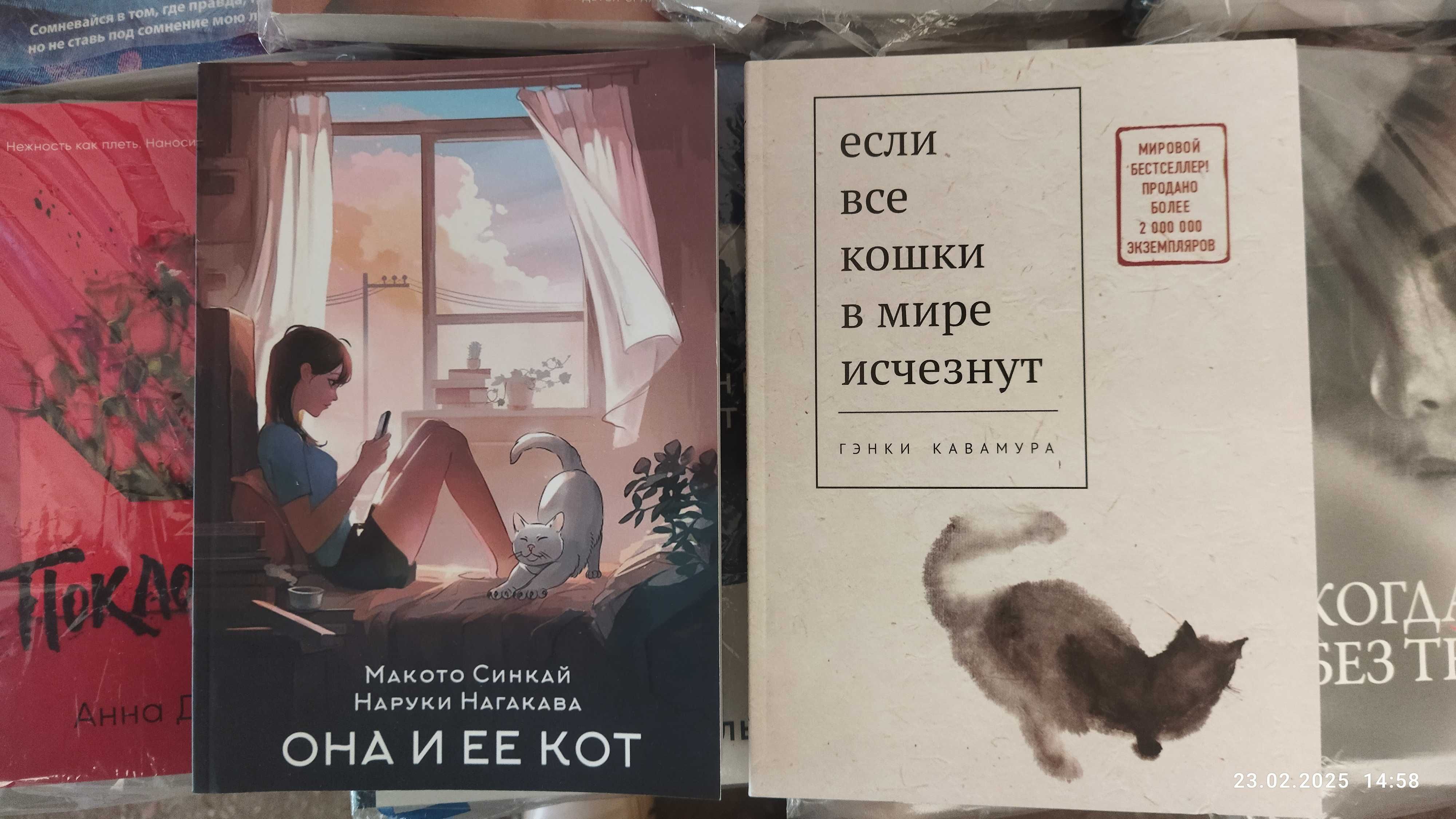 Кавамура Г.Если все кошки в мире исчезнут.Синкай М. Она и ее кот.