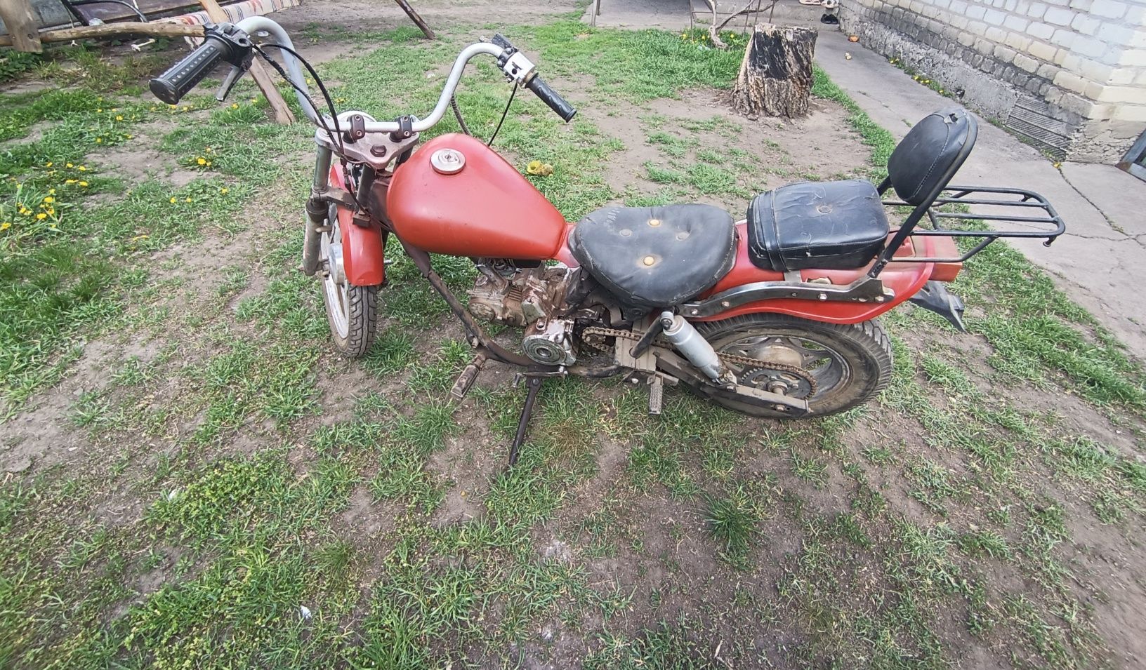 Альфа харлей 72 см в нормальному стані