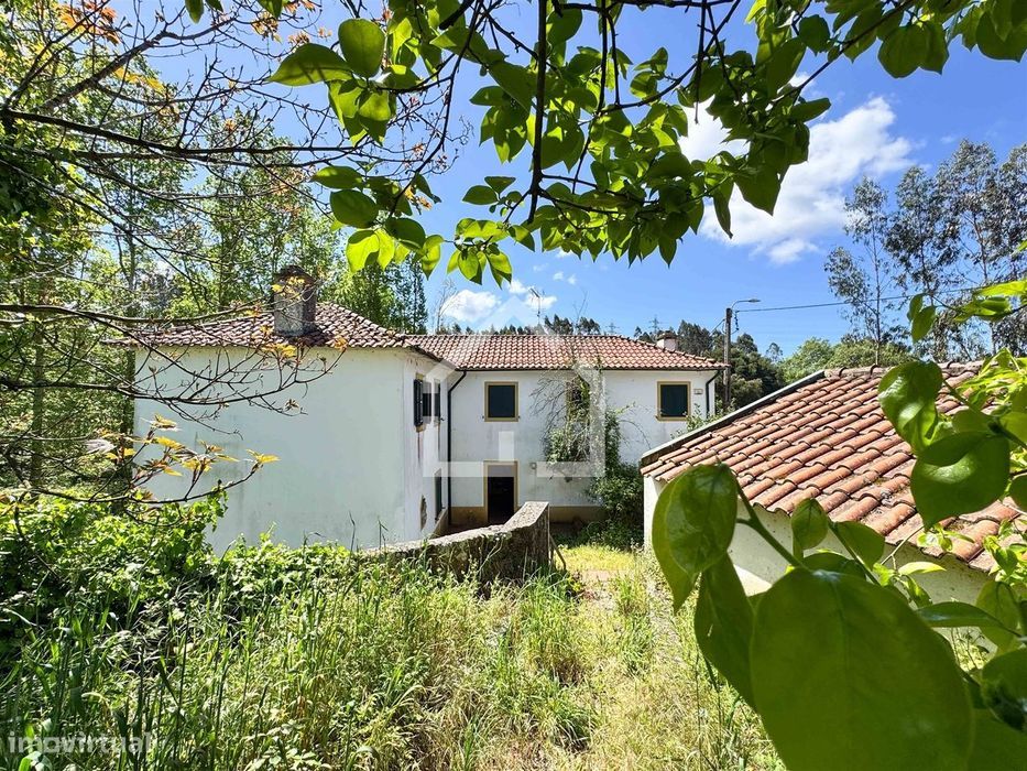 Quinta dos Velhos Moinhos - 7 Hectares!