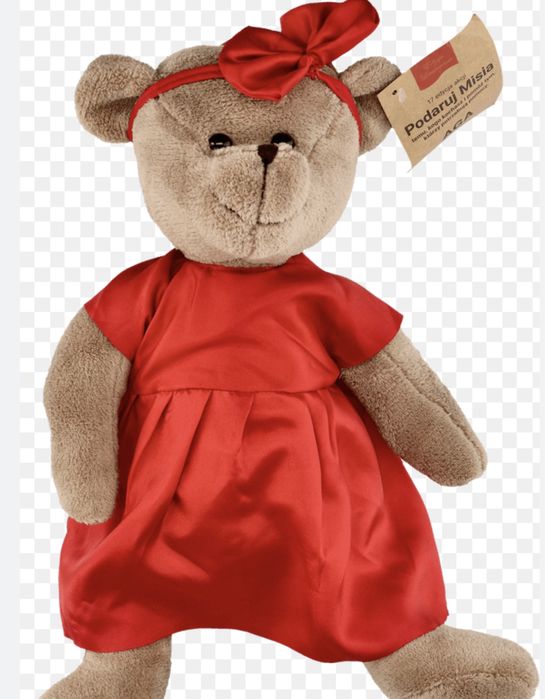 Mis AGA podaruj misia TVN 2022 17 edycja