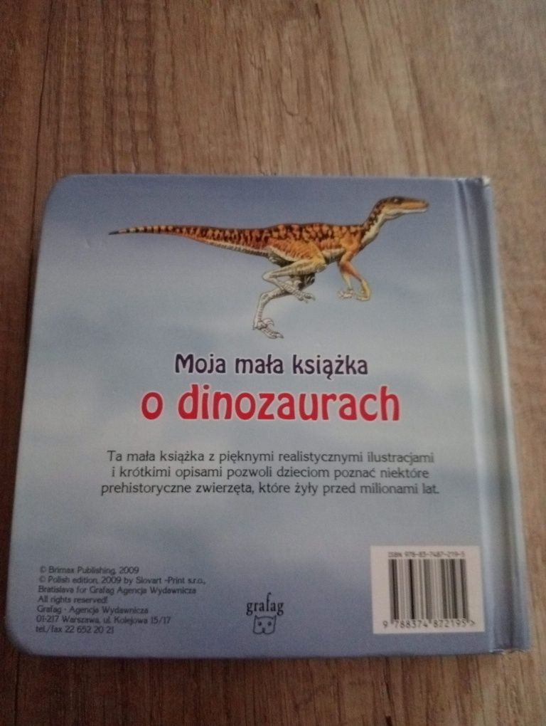 Książka dla dzieci o dinozaurach