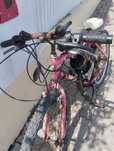 Bike a motor nada a fazer