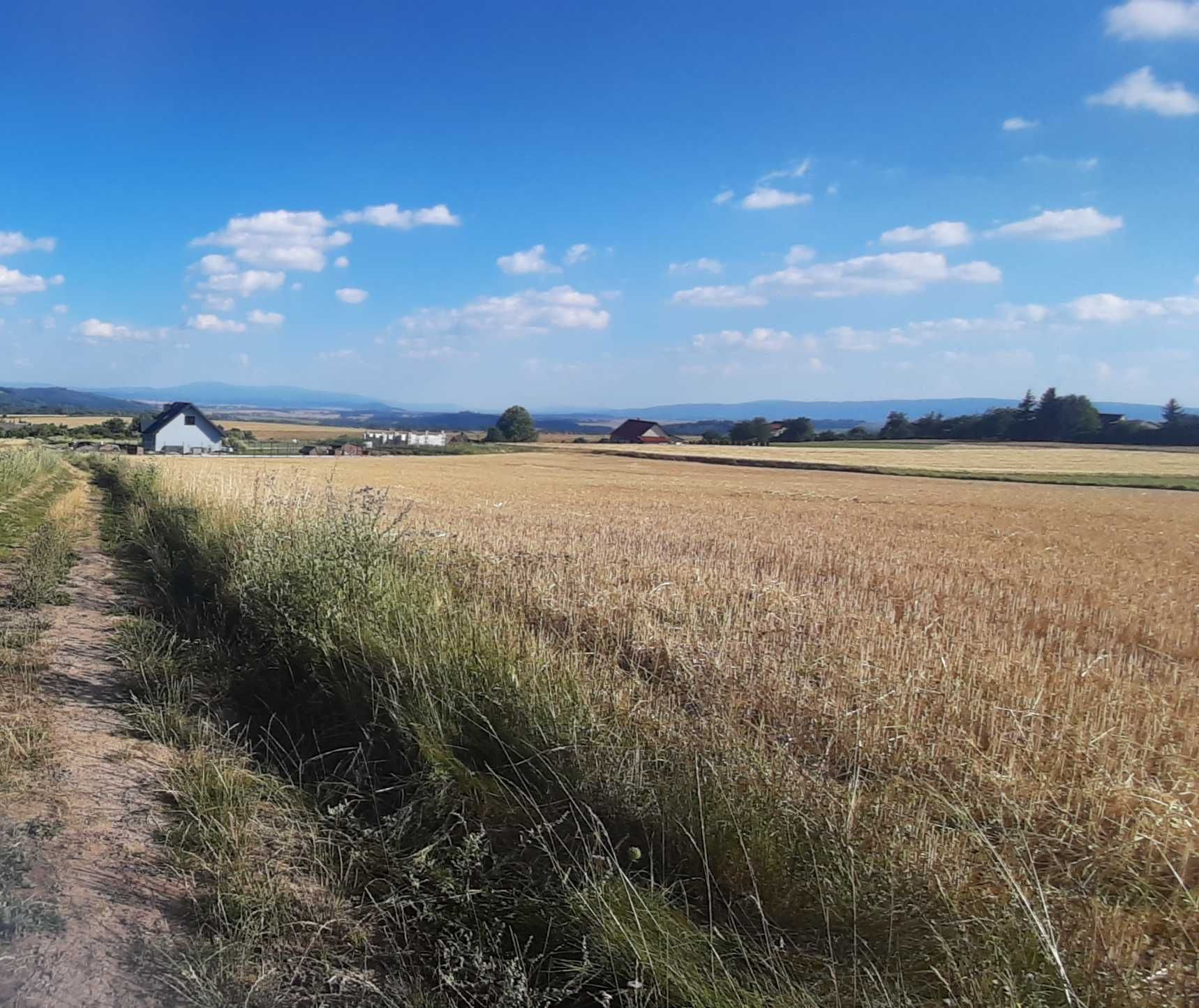 Działka na sprzedaż na Zagórzu w Nowej Rudzie Słupiec.