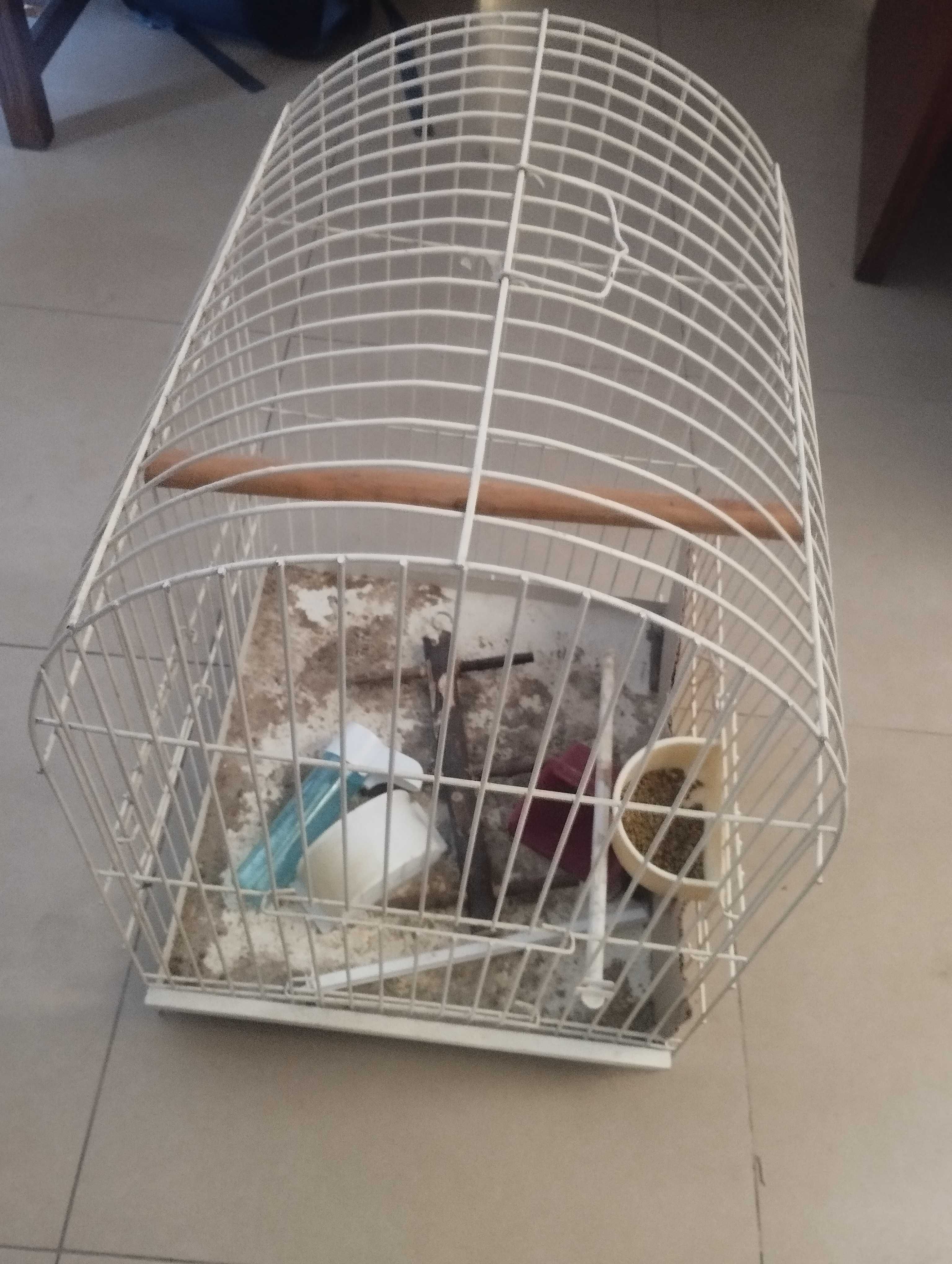 Gaiola para caturra