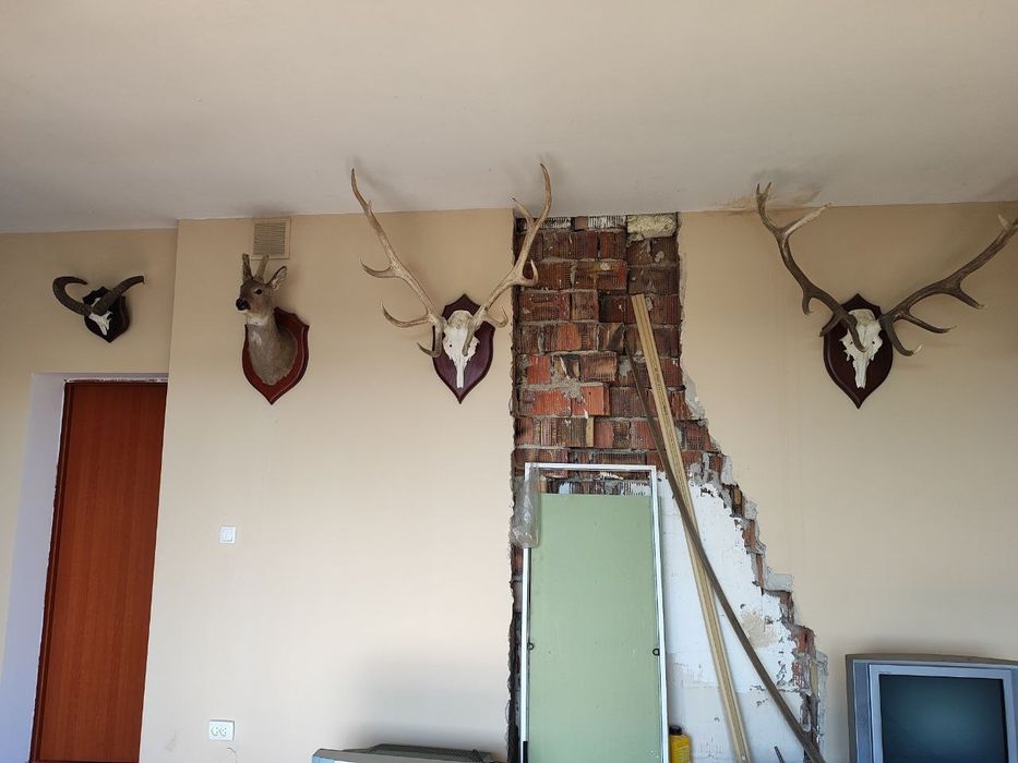 Продам дом недалеко от города, большой участок