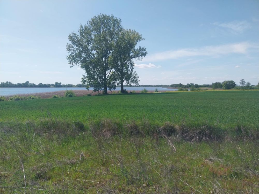 Działka nad jeziorem z linią brzegową
