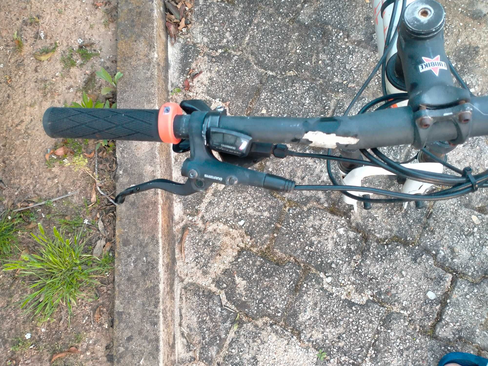 Quadro bicicleta (lê anuncio)